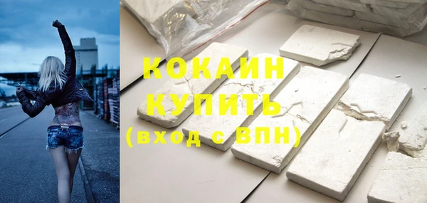 трава Белокуриха