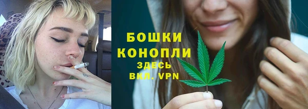 трава Белокуриха