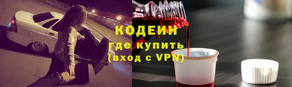 трава Белокуриха