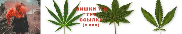 трава Белокуриха