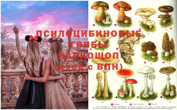 трава Белокуриха