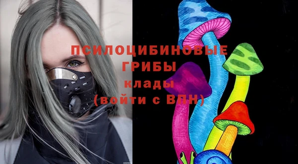 трава Белокуриха