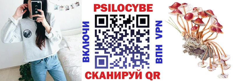 Псилоцибиновые грибы Psilocybe  Вяземский 